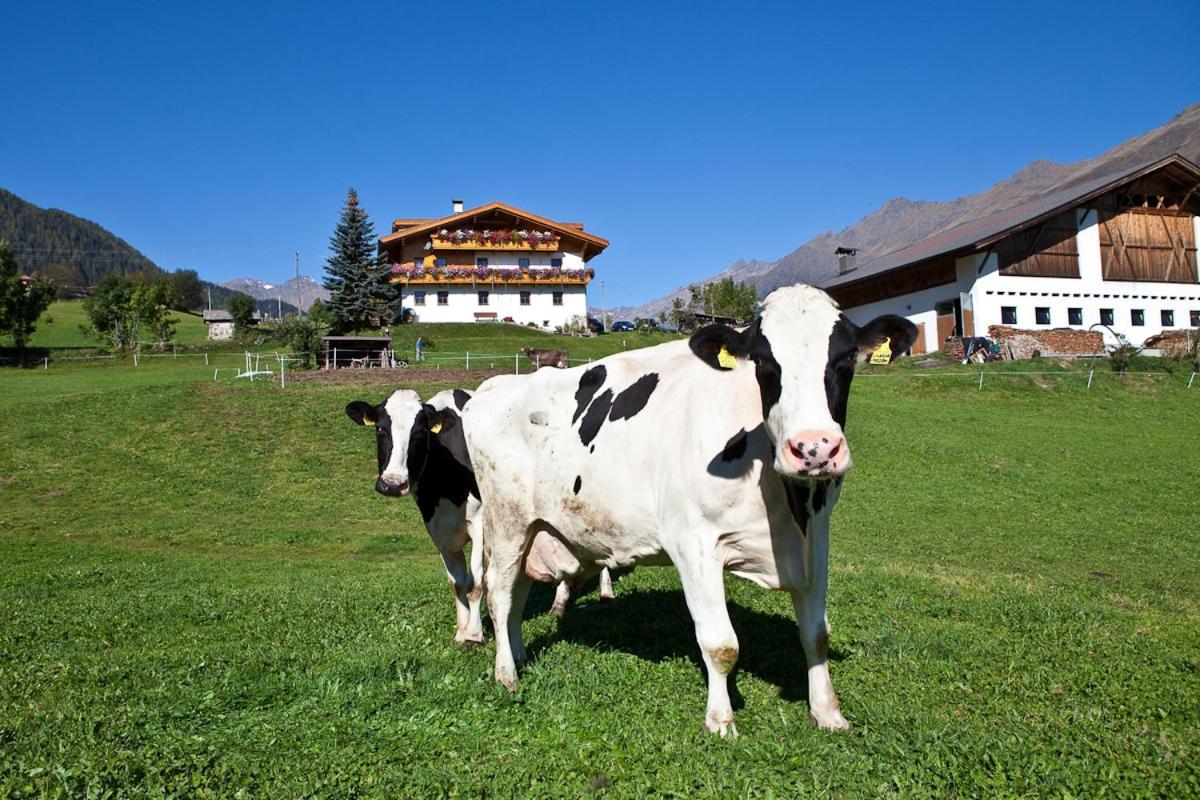 Schneiderhof, Chalet, Urlaub Auf Dem Bauernhof Ridanna Exterior photo